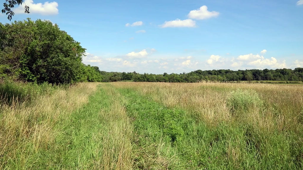 rothenbuhler-farm-field