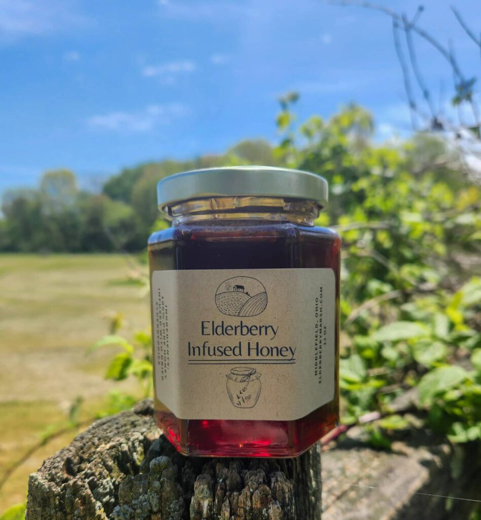 Elderberry-Infused-Honey-5a5ce65d399ee2f357c62631b2a34340