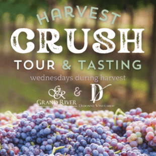 Destination Geauga Tourism | HarvestCrush2025 3