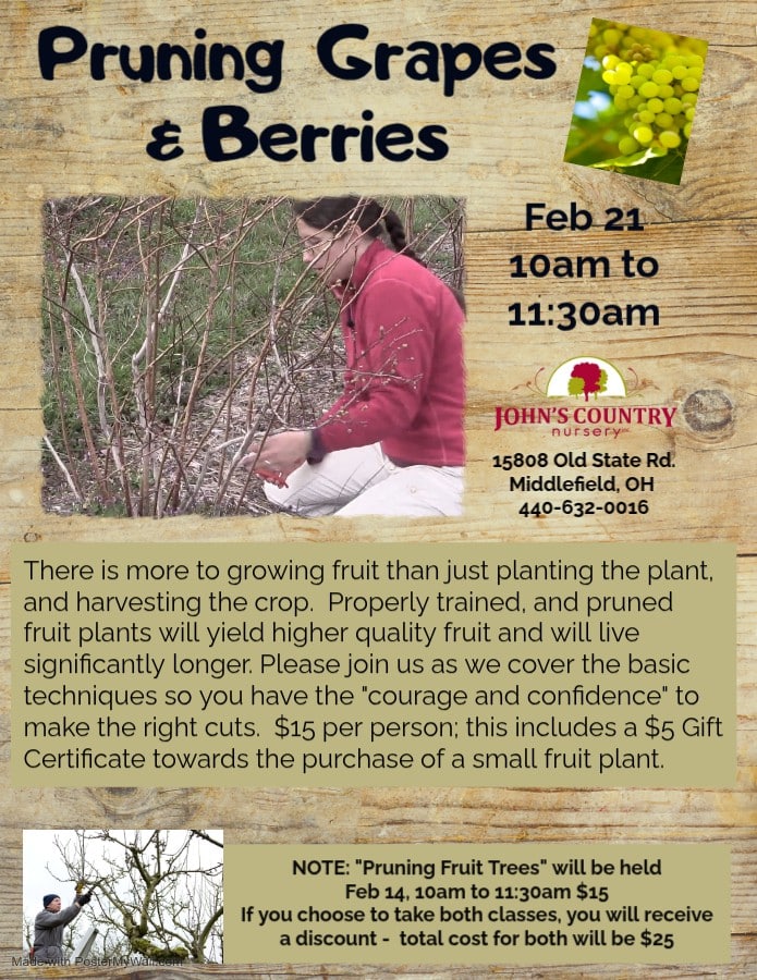 Destination Geauga Tourism | Pruning Grapes Berries Feb 21