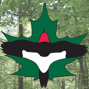 Destination Geauga Tourism | GPD Logo Forest Background 3