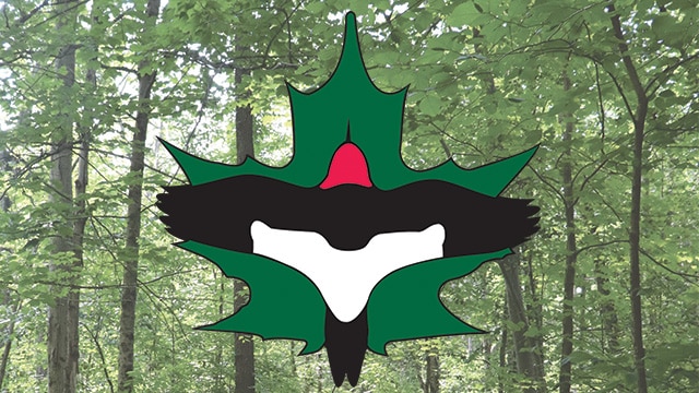 Destination Geauga Tourism | GPD Logo Forest Background 3
