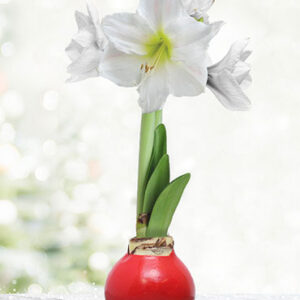 Destination Geauga Tourism | bulbs